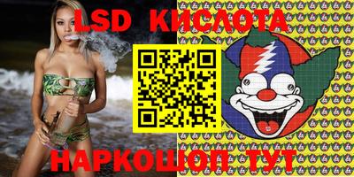 PSILOCYBIN Моздок