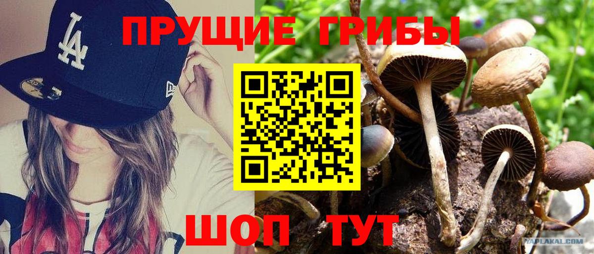 Сыктывкар  Галлюциногенные грибы Magic Shrooms  Вход с VPN  Галлюциногенные грибы ЛСД 