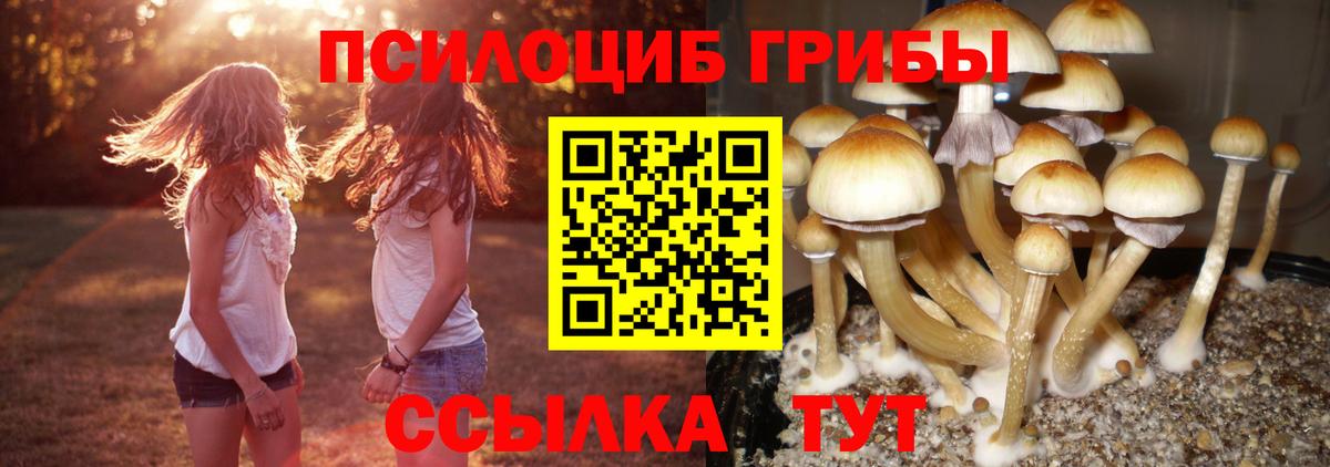 Псилоцибиновые грибы ЛСД Сыктывкар